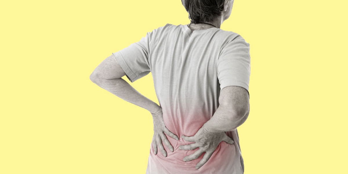 Low Back Pain Exercise Program service photo